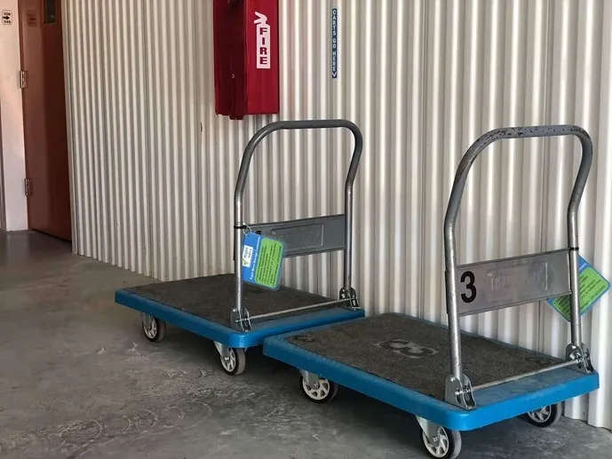 self storage carts